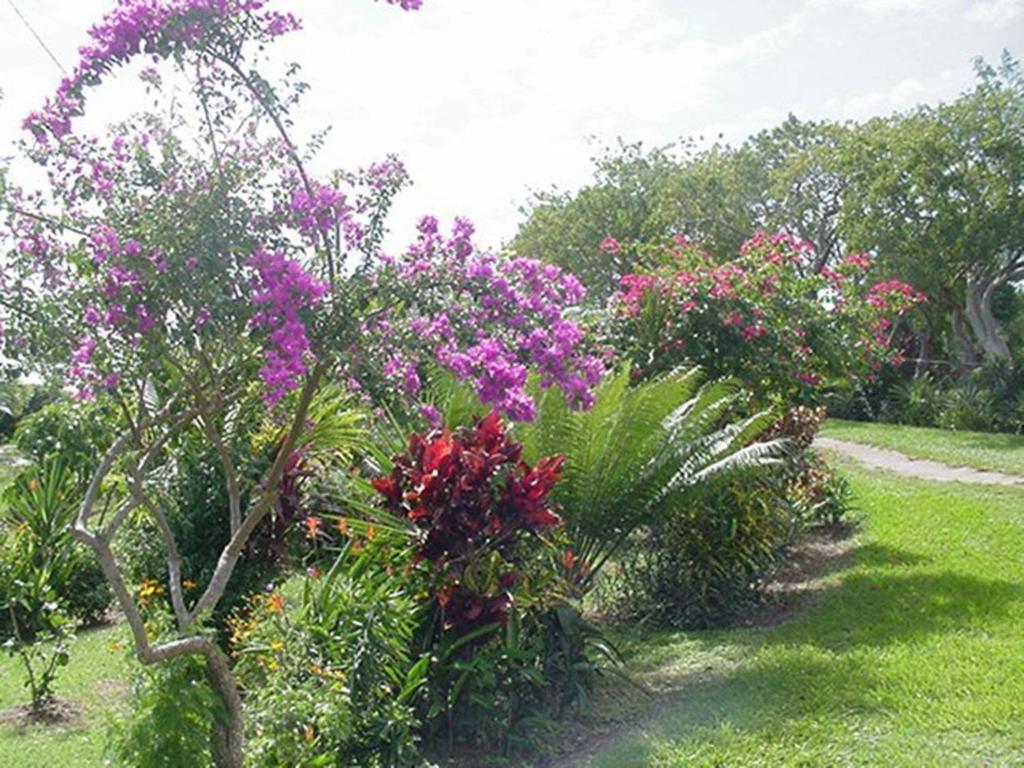 Great Escape And Breakfast Inn Vieques Exterior photo